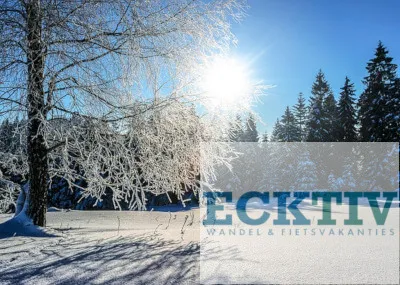 Sneeuwschoen Groepswandel Vakantie Steiermark Stiermarken Oostenrijk