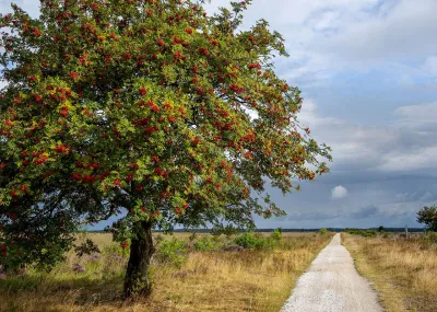 5 of 7 daagse hoteltrektocht Drenthe Drenthe Nederland