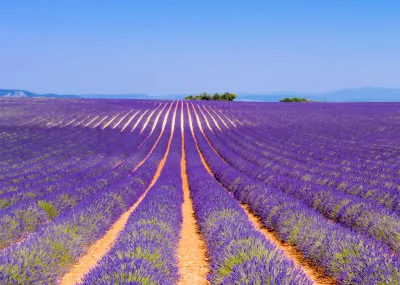 8 daagse fietsreis door de Provence Provence Alpes Côte D'azur Frankrijk