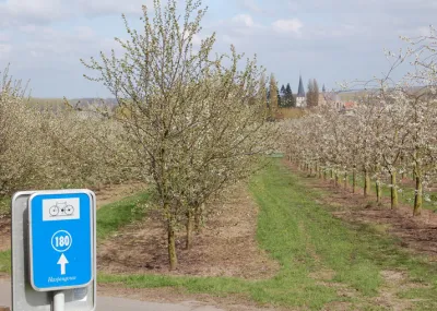 Vlaams Brabant Haspengouw Trektocht België