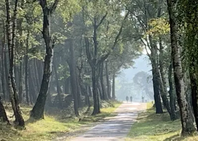 Veluwe tour Van der Valk Veluwe Nederland