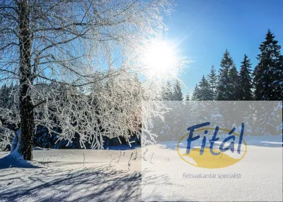 Wintervakantie Abtenau Tirol Oostenrijk