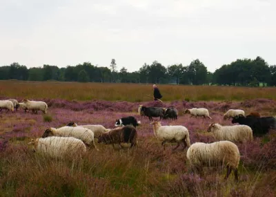5 daagse fietsvakantie Drenthe Drenthe Nederland