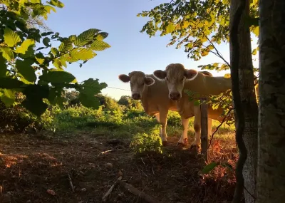 Fietstrektocht in de Creuze Nouvelle Aquitanië Frankrijk