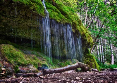 7 daagse Wandelreis Zwarte Woud Zwarte Woud Duitsland